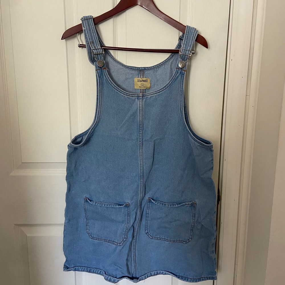 Lily and Parker Overall Dress